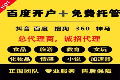 成功运用SEM服务实现品牌快速成长的案例